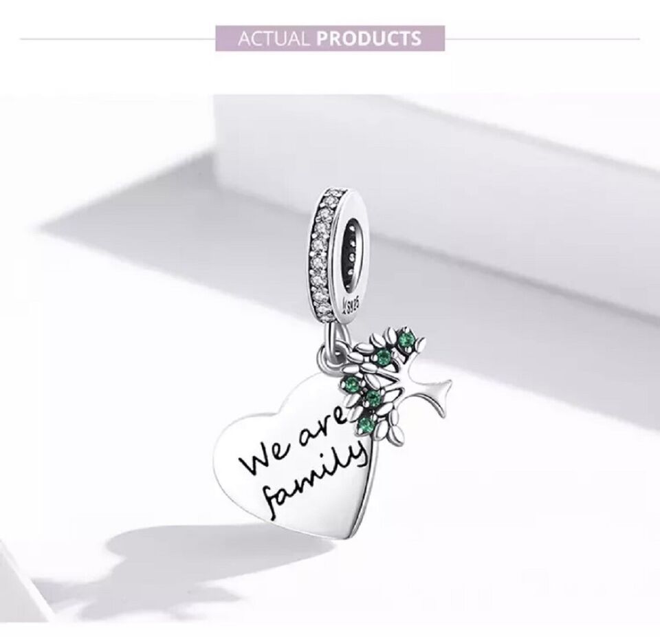 We Are Family Dangle Charm for Bracelet, S925 Sterling Silver
