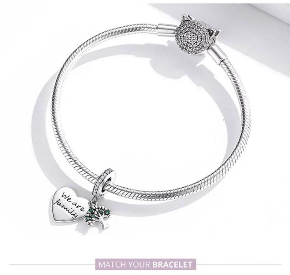 We Are Family Dangle Charm for Bracelet, S925 Sterling Silver