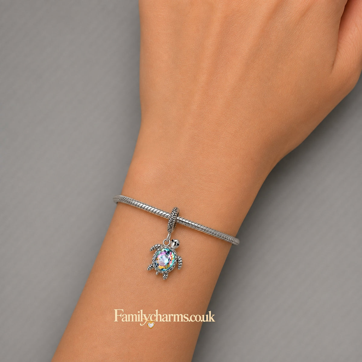 Colourful Turtle Sterling Silver Charm Hallmarked S925 for Charm Bracelet and Necklace