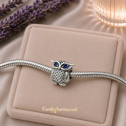 Cute Owl Charm Hallmarked S925 for Charm Bracelet and Necklace