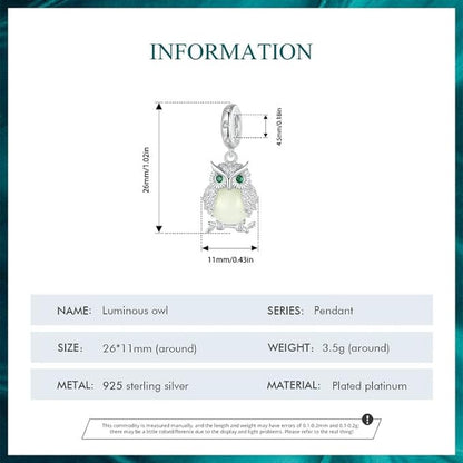 Glowing Owl Charm for Bracelet, S925 Sterling Silver