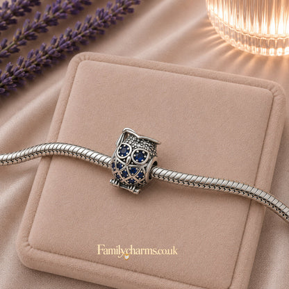Owl Graduation Sterling Silver Charm Hallmarked S925 for Charm Bracelet and Necklace