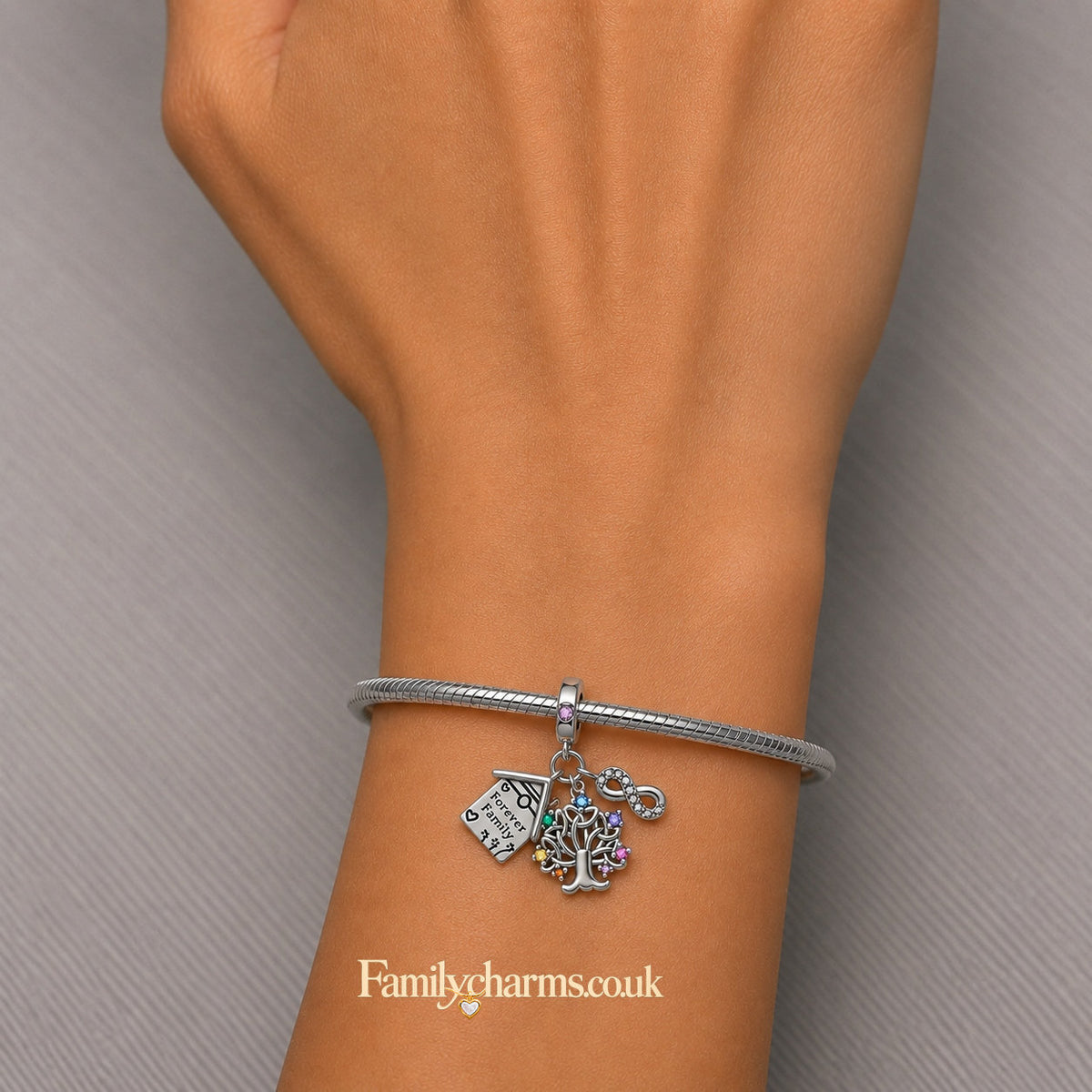 Life Tree Forever Family House Infinity Love Charm Hallmarked S925 for Charm Bracelet and Necklace