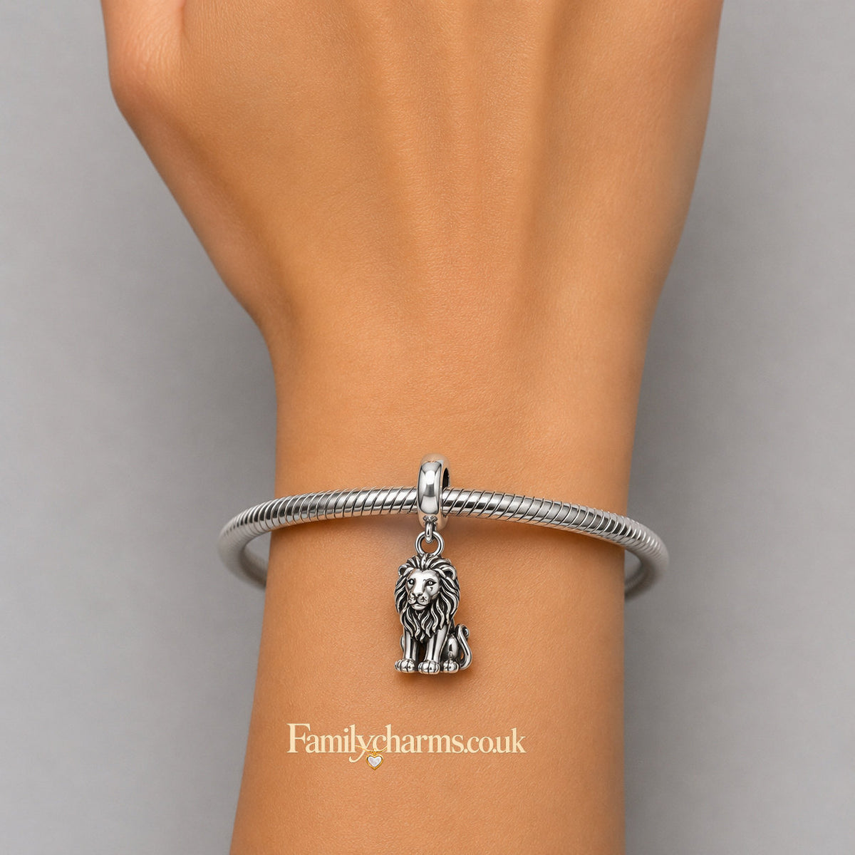 Majestic Lion Sterling Silver Charm Hallmarked S925 for Charm Bracelet and Necklace