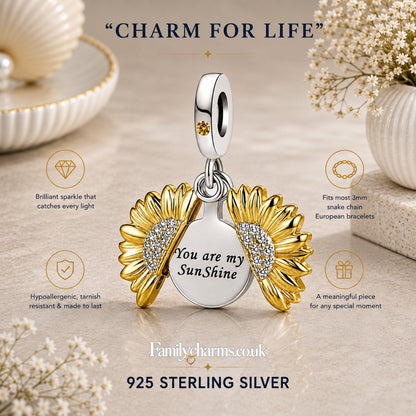 You Are My Sunshine Sterling Silver Charm Hallmarked S925 for Charm Bracelet and Necklace